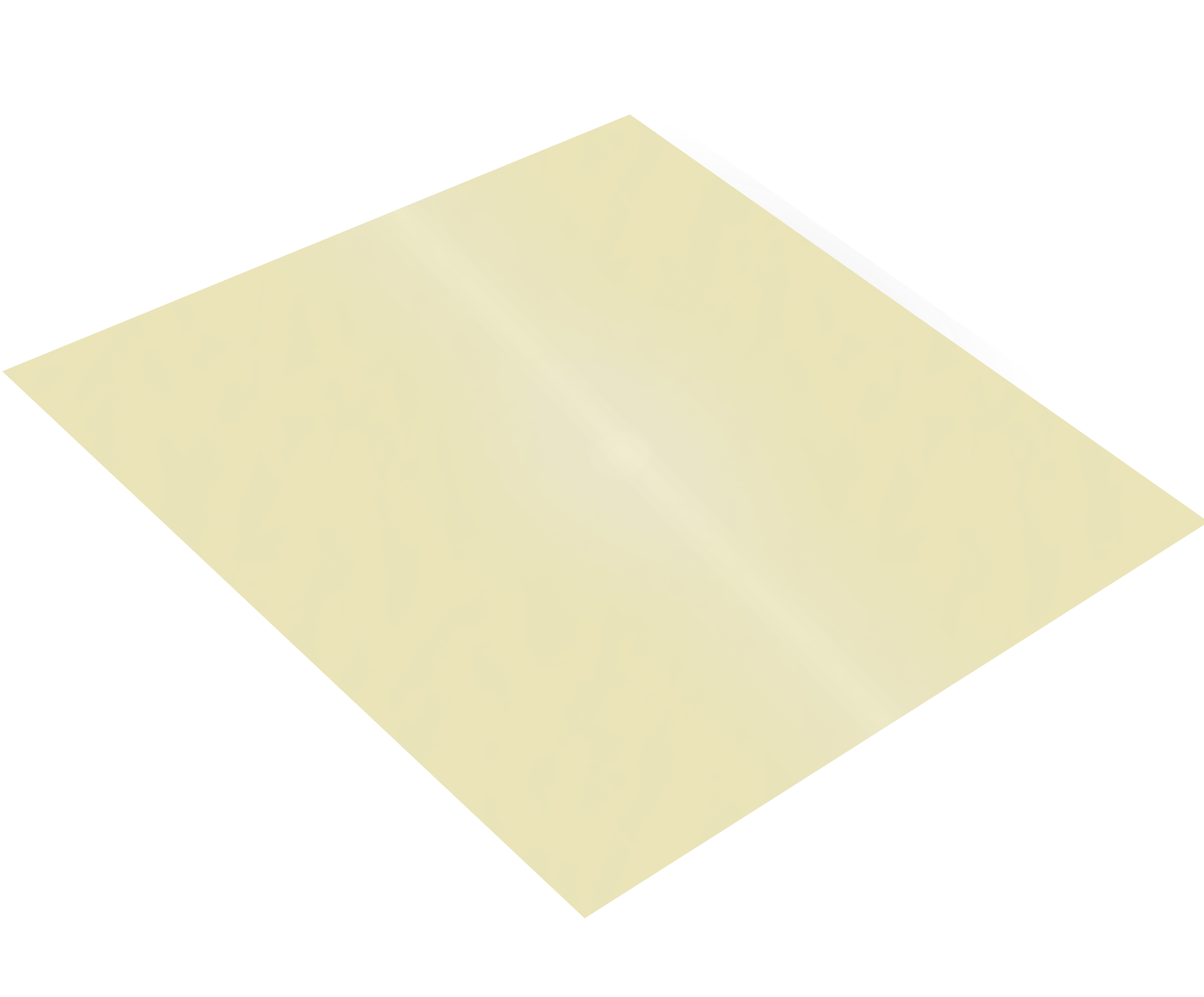 Feuille engluée CDG20 - CFCDG20